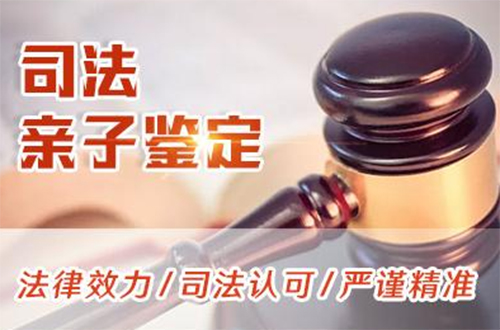 钦州司法DNA鉴定如何办理,